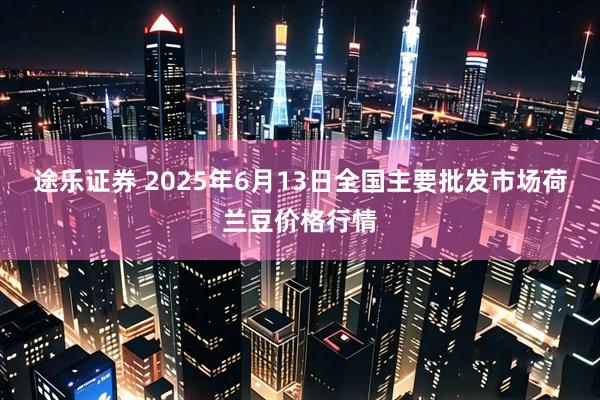 途乐证券 2025年6月13日全国主要批发市场荷兰豆价格行情