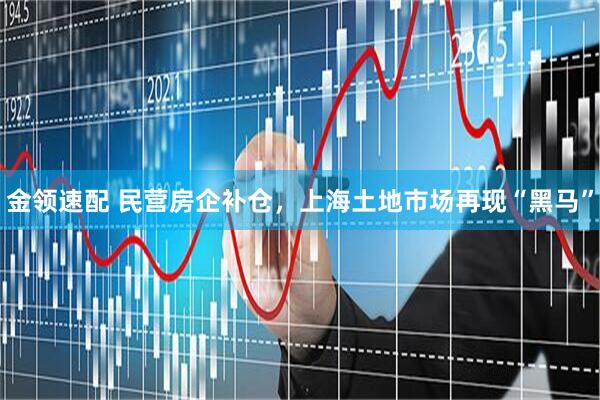 金领速配 民营房企补仓，上海土地市场再现“黑马”