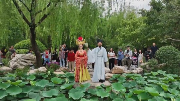 融可赢配资 暑期将至 陕西省多个景区对中高考生免门票