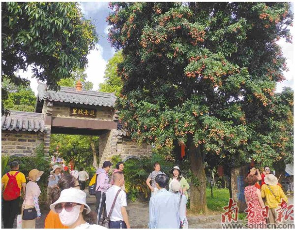恒盛优配 引客入廉 停留一“夏”