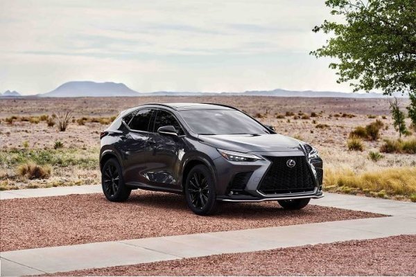 大赢家 2025新车质量榜出炉：雷克萨斯夺冠，特斯拉助力豪华品牌提升