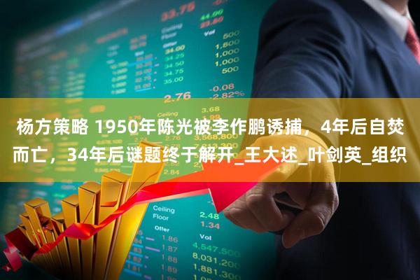 杨方策略 1950年陈光被李作鹏诱捕，4年后自焚而亡，34年后谜题终于解开_王大述_叶剑英_组织