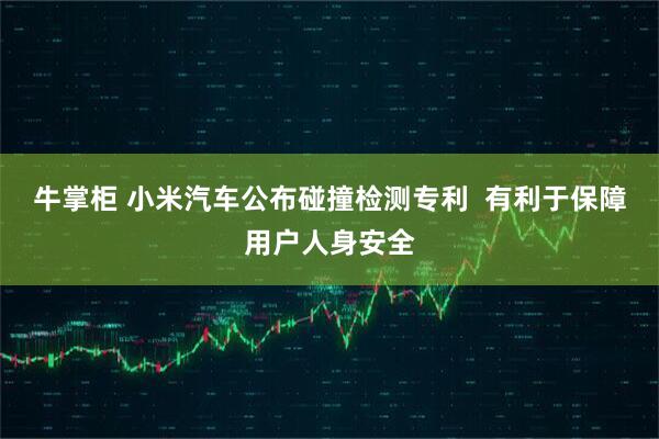 牛掌柜 小米汽车公布碰撞检测专利  有利于保障用户人身安全