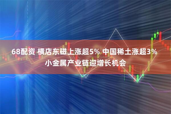 68配资 横店东磁上涨超5% 中国稀土涨超3% 小金属产业链迎增长机会