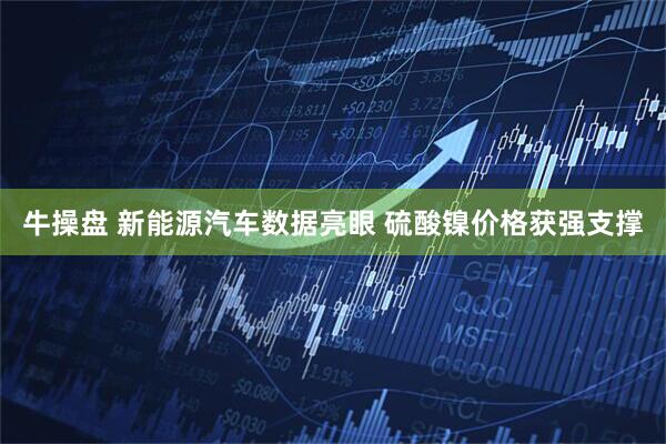 牛操盘 新能源汽车数据亮眼 硫酸镍价格获强支撑