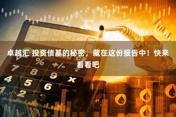 卓越汇 投资债基的秘密，藏在这份报告中！快来看看吧