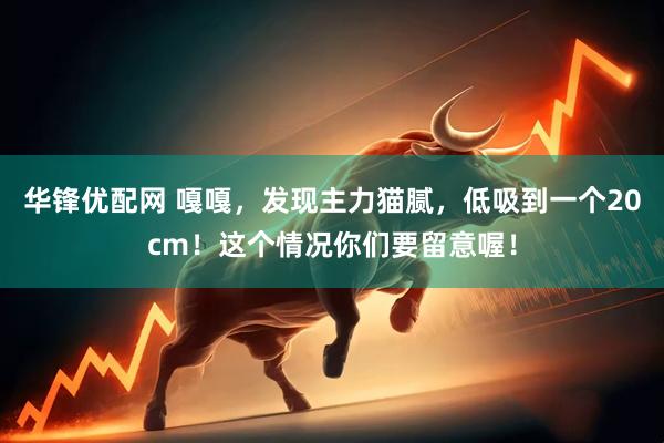 华锋优配网 嘎嘎，发现主力猫腻，低吸到一个20cm！这个情况你们要留意喔！
