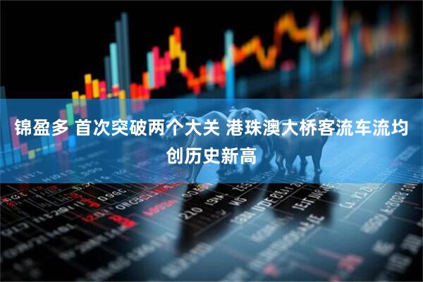 锦盈多 首次突破两个大关 港珠澳大桥客流车流均创历史新高